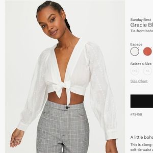 Aritzia Gracie Blouse size XS NWT